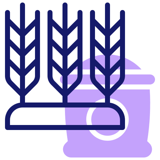 Wheat grain seed farming and gardening icon Wheat grain seed farming and gardening icon