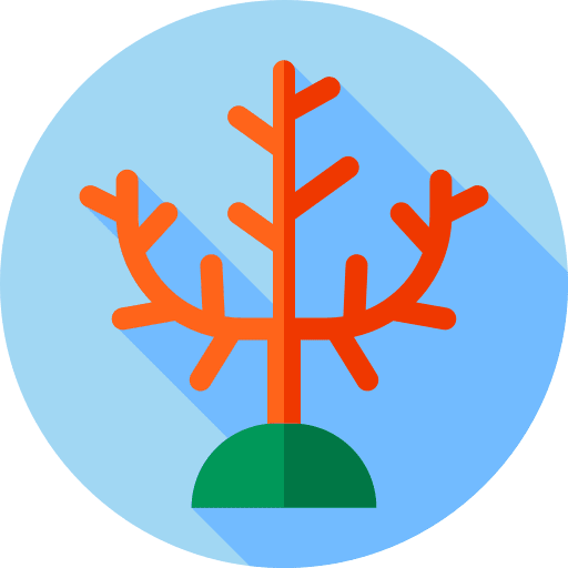 Coral marine animals sea life icon Coral marine animals sea life icon