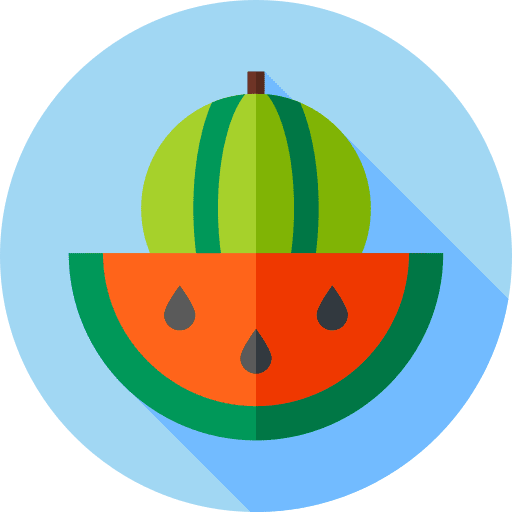 Watermelon vegetarian slice diet icon Watermelon vegetarian slice diet icon
