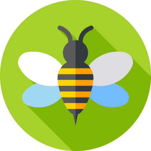 Bee animal kingdom entomology fly icon Bee animal kingdom entomology fly icon