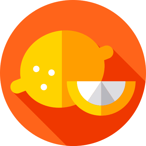 Lemon healthy food slice vegetarian icon Lemon healthy food slice vegetarian icon