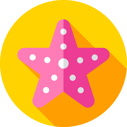 Starfish animal kingdom aquatic starfish icon Starfish animal kingdom aquatic starfish icon