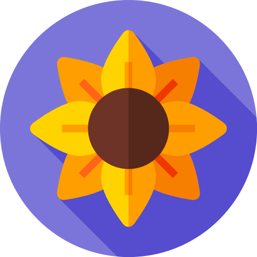Sunflower blossom petals sunflower icon Sunflower blossom petals sunflower icon