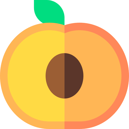 Peach organic vegan fruit icon