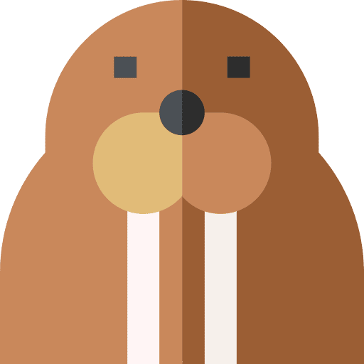 Sea lion zoo animal kingdom nature icon Sea lion zoo animal kingdom nature icon