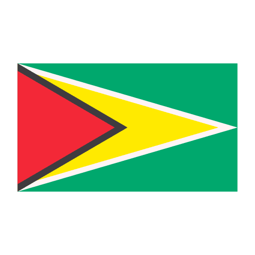 Guyana flags country world icon Guyana flags country world icon