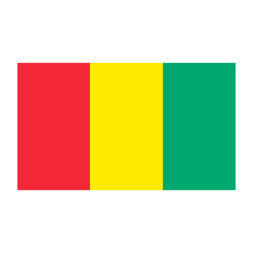 Guinea guinea world country icon Guinea guinea world country icon