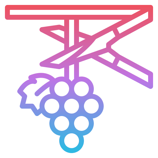 Harvesting grapes winery cluster icon Harvesting grapes winery cluster icon