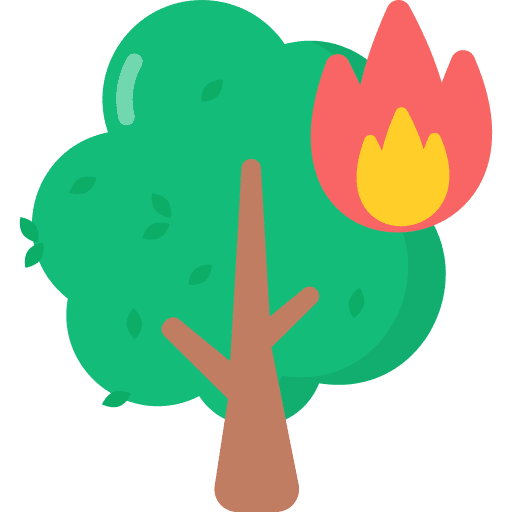 Forest fire wildfire disaster flames icon Forest fire wildfire disaster flames icon