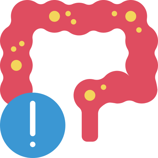 Intestines anatomy intestines healthcare and medical icon