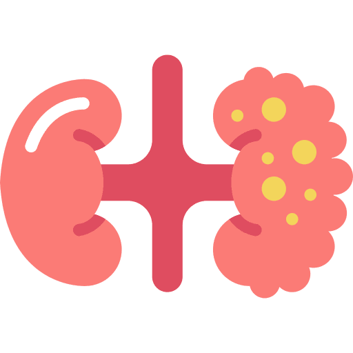 Kidneys health cancer kidneys icon