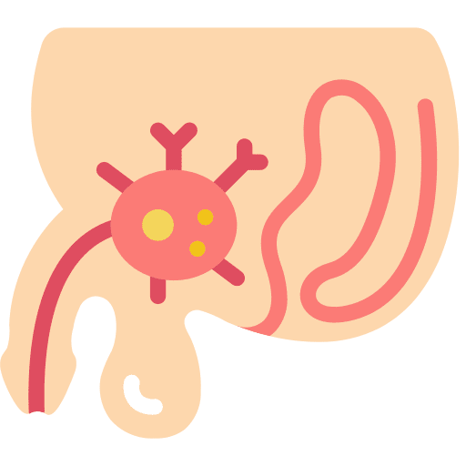 Prostate anatomy illness body organ icon
