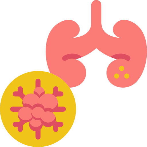 Kidneys anatomy health cell icon