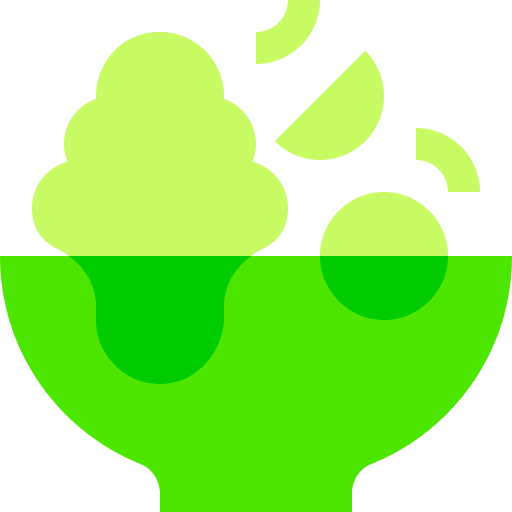 Salad vegetarian vegetables organic icon Salad vegetarian vegetables organic icon