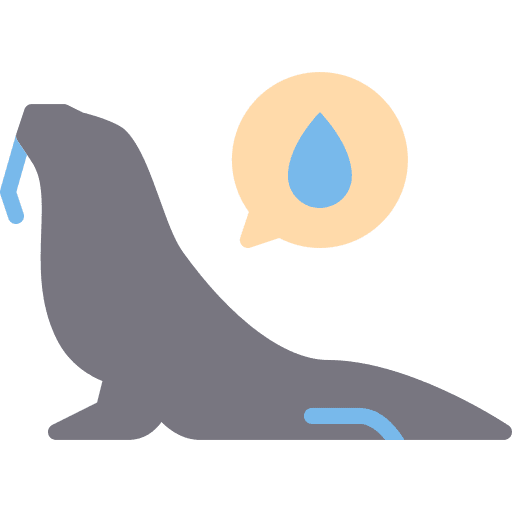 Seals animals seals sea lion icon Seals animals seals sea lion icon