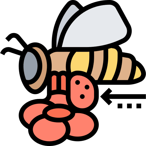 Bee animals animal kingdom bee icon