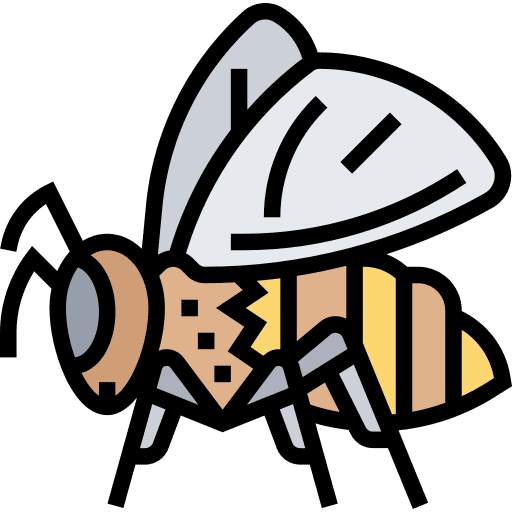 Bee zoology bug insect icon Bee zoology bug insect icon