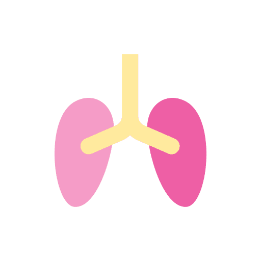 Lungs healthcare and medical anatomy lungs icon Lungs healthcare and medical anatomy lungs icon
