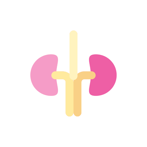 Kidneys body organ urologist urology icon Kidneys body organ urologist urology icon