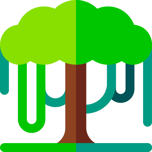 Jungle tree jungle baobab icon