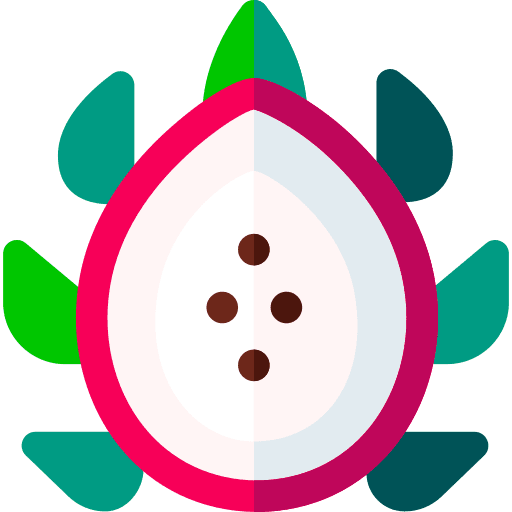 Dragon fruit pitaya organic healthy food icon Dragon fruit pitaya organic healthy food icon