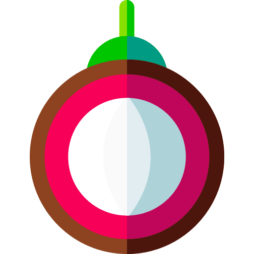 Mangosteen healthy food diet food and restaurant icon Mangosteen healthy food diet food and restaurant icon
