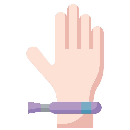Wristband bracelet concert access icon