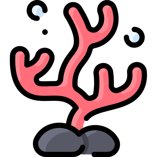 Coral reef marine ocean coral reef icon