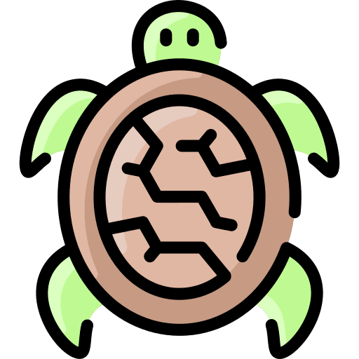 Turtle sea turtle animals sea life icon Turtle sea turtle animals sea life icon