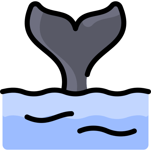 Whale zoo sea whale icon