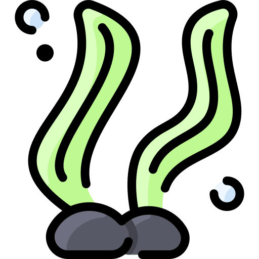 Seaweed algae aquatic marine icon Seaweed algae aquatic marine icon