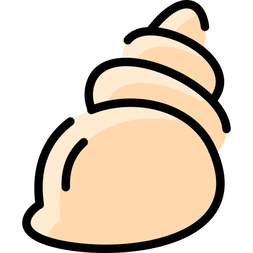 Shell conch shell animals sea snail icon Shell conch shell animals sea snail icon