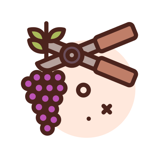 Grape farming scissors grape icon