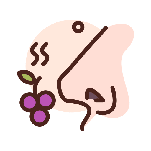 Smell smell grapes wine tasting icon