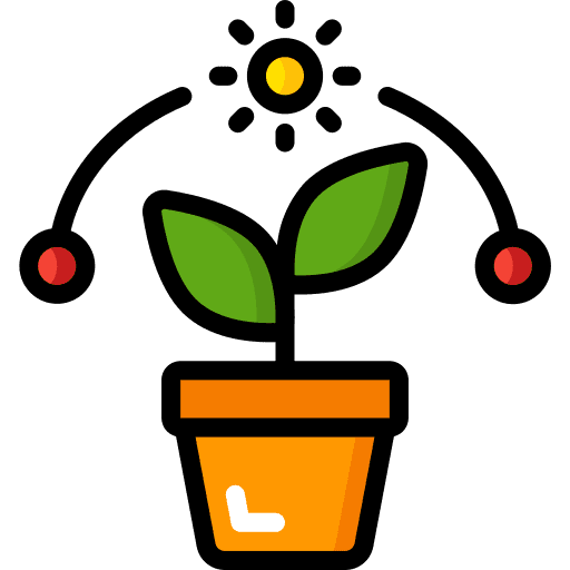 Plant growing sun movement icon