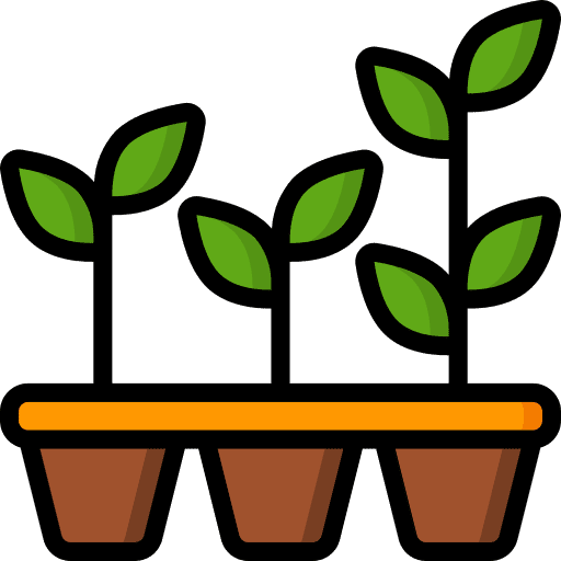 Seedlings botanical sprout seedlings icon