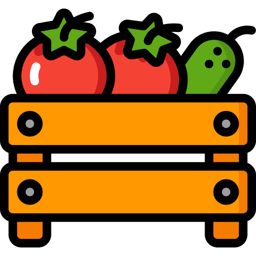 Fruit vegetable harvest food icon