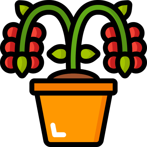 Plant nature tomato agriculture icon