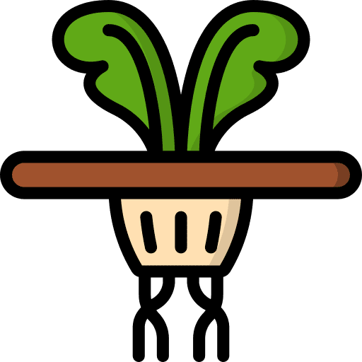 Seedling ecological green seedling icon