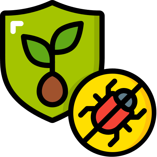 Shield bug seeding pest icon