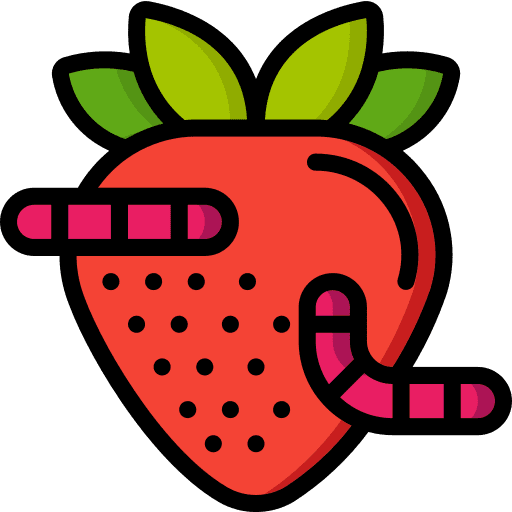 Strawberry strawberry healthy food diet icon