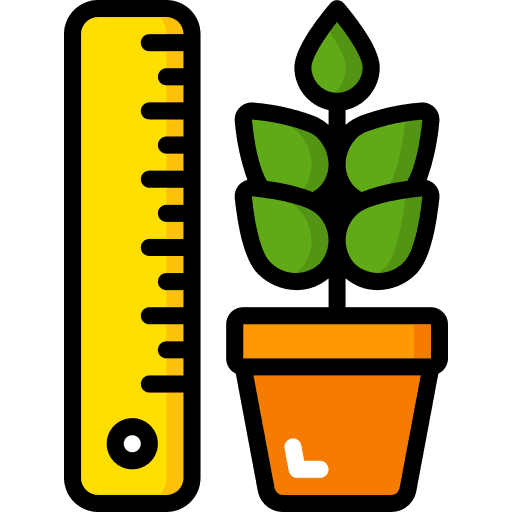 Ruler planting ruler plant icon