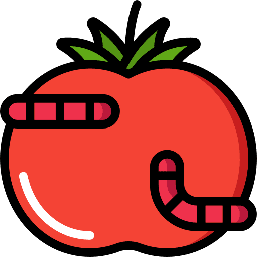 Tomato farming and gardening vegetarian viburnum fruit icon