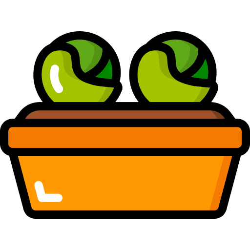 Lettuce soil farming plant pot icon