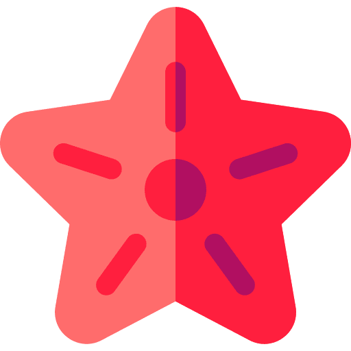 Starfish sea life aquatic echinoderm icon Starfish sea life aquatic echinoderm icon