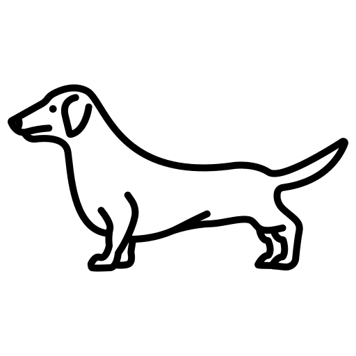 Dachshund breed mammal animals icon