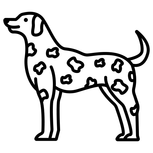 Dalmation zoology animals dog icon