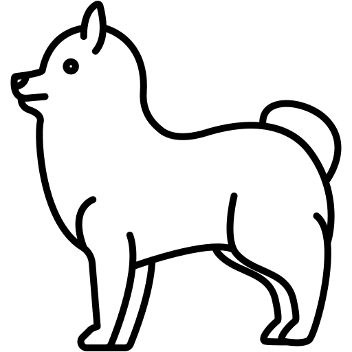 Pomeranian pomeranian zoology pet icon