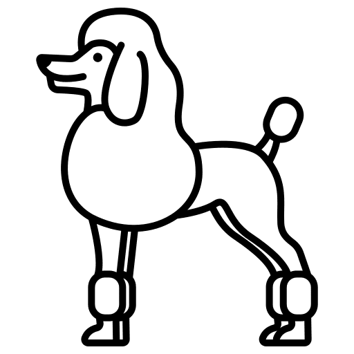Poodle zoology mammal animals icon