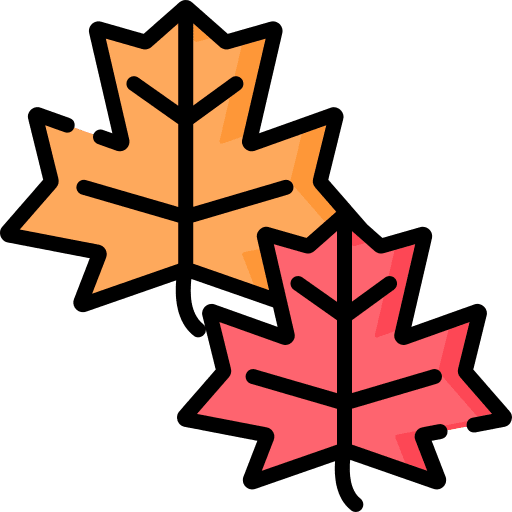 Maple leaf nature autumn plant icon